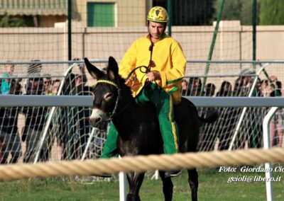 Palio dei Ciuchi Asciano