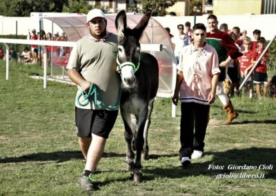 Palio dei Ciuchi Asciano