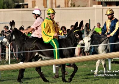 Palio dei Ciuchi Asciano