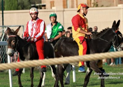 Palio dei Ciuchi Asciano