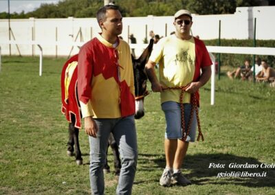 Palio dei Ciuchi Asciano