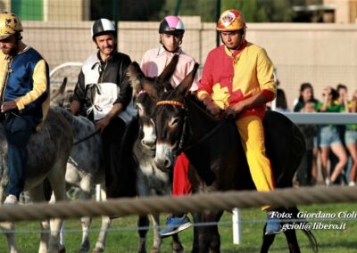 Palio dei Ciuchi Asciano