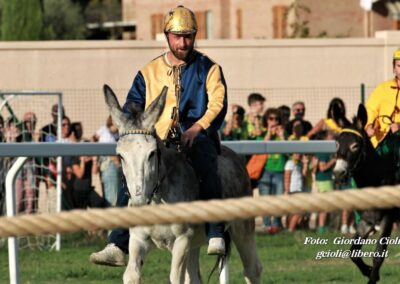 Palio dei Ciuchi Asciano