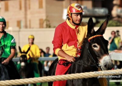 Palio dei Ciuchi Asciano
