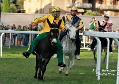 Palio dei Ciuchi Asciano
