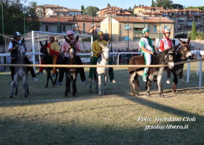 Palio dei Ciuchi Asciano