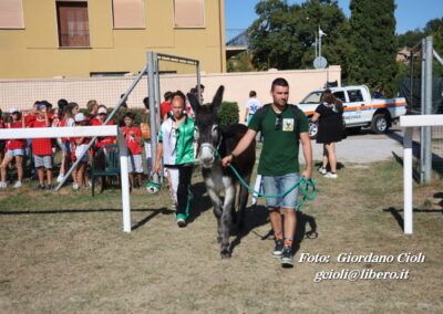 Palio dei Ciuchi Asciano
