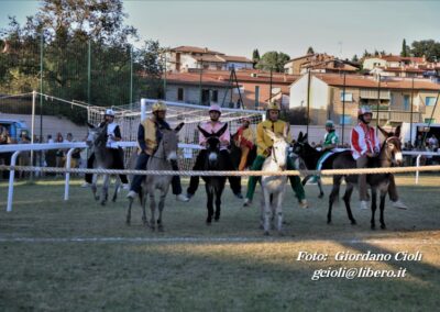 Palio dei Ciuchi Asciano